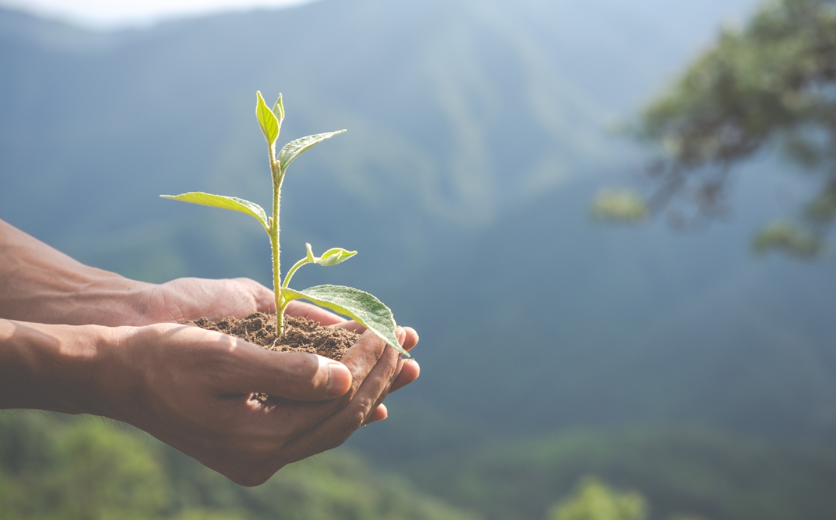 La institución resaltó que todavía resta mucho por hacer en materia medioambiental. (Freepik)