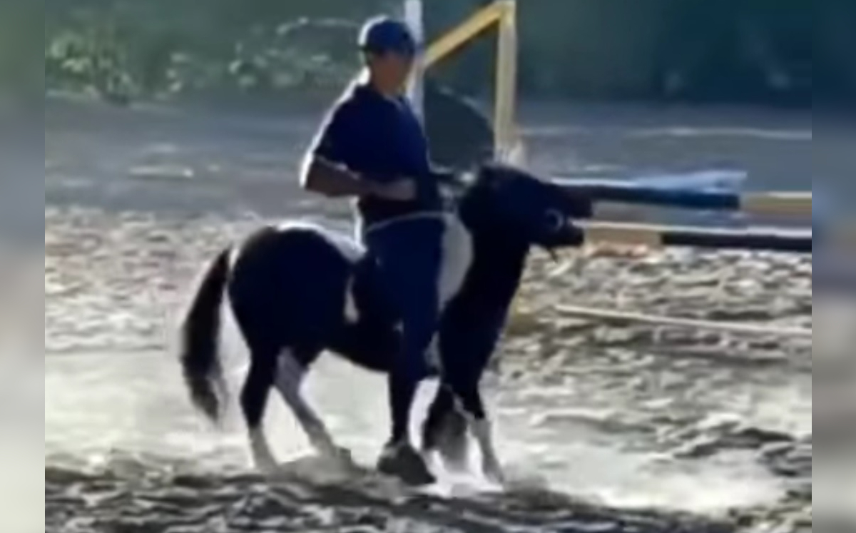 Jinete brasileño es suspendido 3 años por maltratar a poni de su hija (Especial)