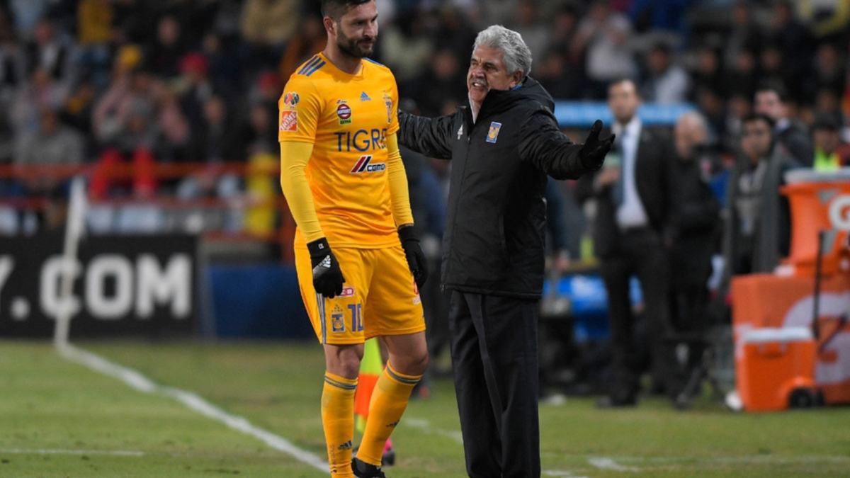 Jugadores de Tigres se irían de Tigres si no renueva el Tuca Ferretti