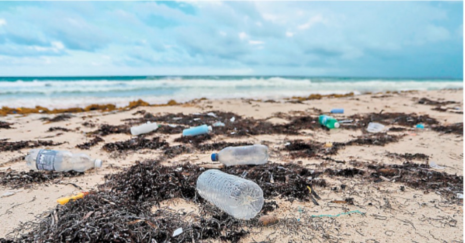 Los envases que van a los mares son principalmente del sector refresquero. (Especial)