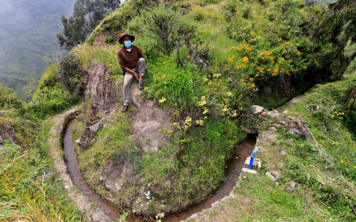 En Perú, "siembran agua" con ingeniería prehispánica en altas montañas de Lima. (AFP)
