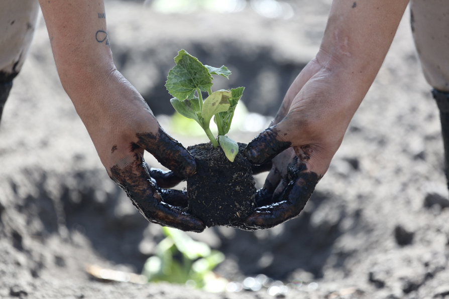 Trabajan para preservar un ecosistema que tanta falta hace hoy en día. | Ariel Ojeda