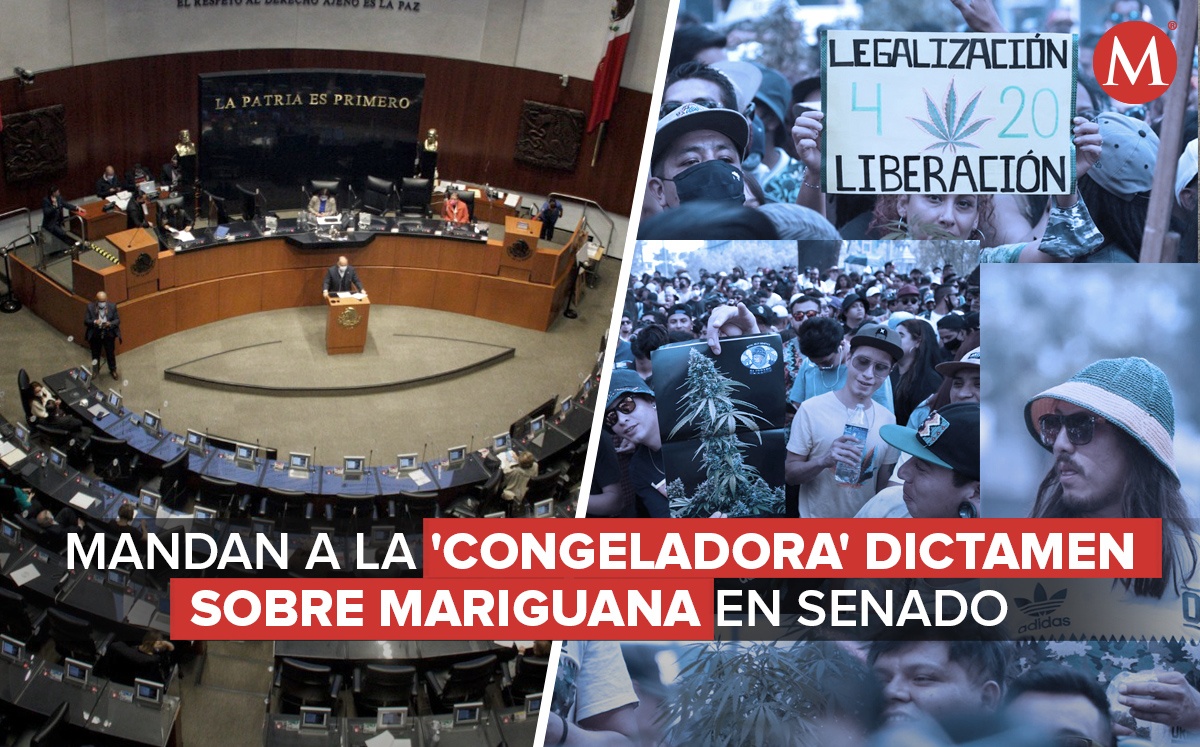 El dictamen sobre la mariguana será discutido en el Senado después del 6 de junio. (Diseño: Oscar Ávila | Fotos: Ariel Ojeda/Cuartoscuro)