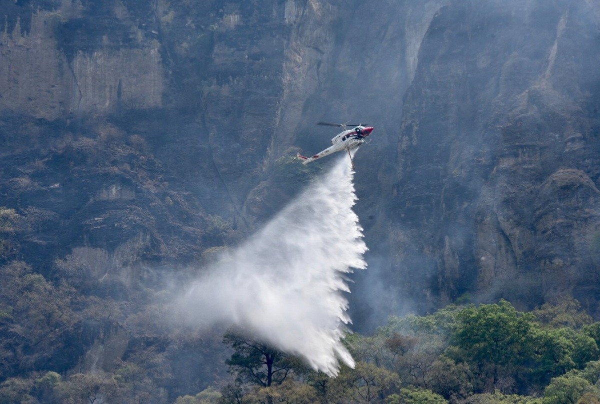 De los 104 incendios forestales, 10 se registran en Áreas Naturales Protegidas | @CONAFOR