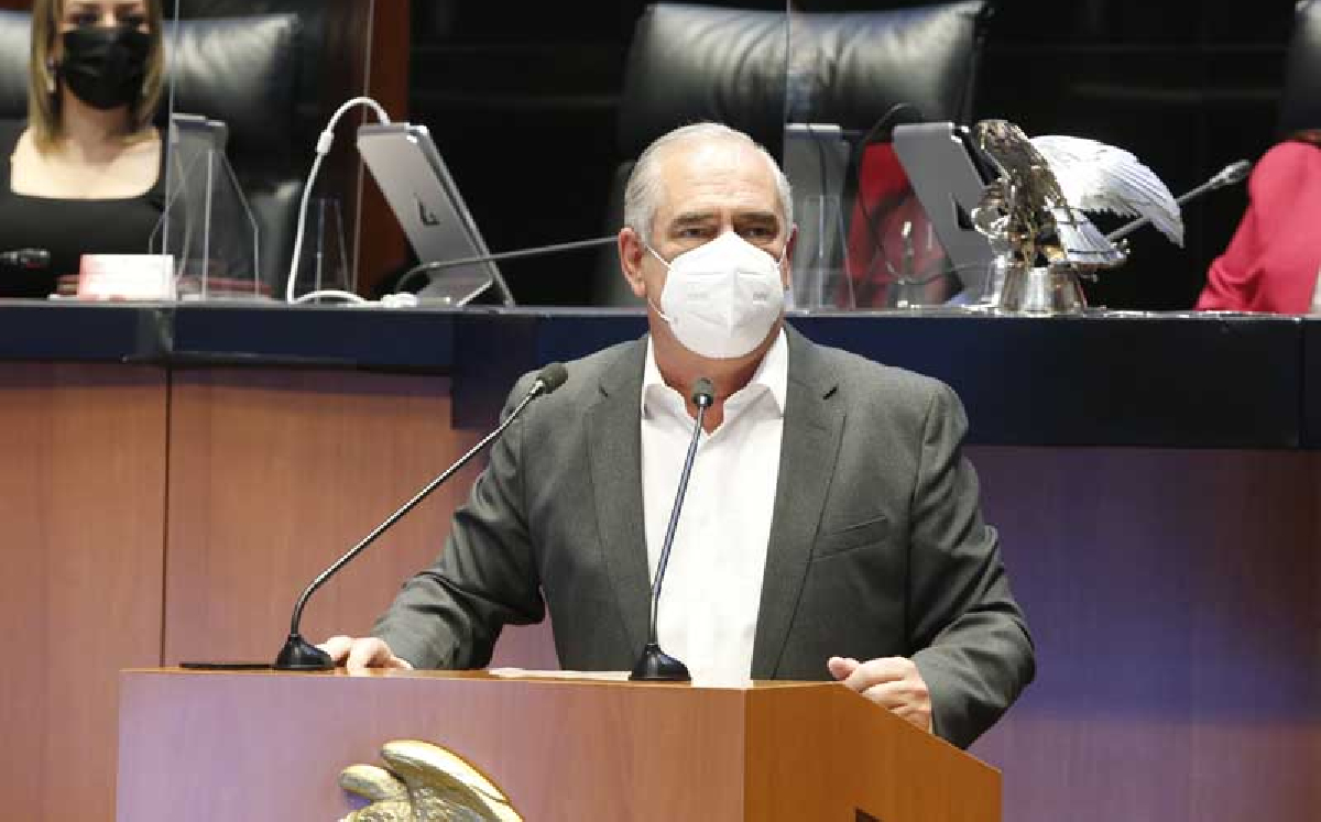 El legislador Julem Rementeria durante su participación en una sesión ordinaria. (PAN en el Senado)