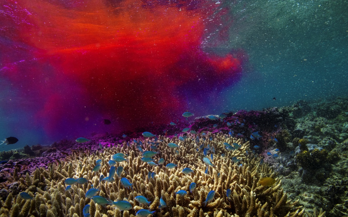Un tinte utilizado para monitorear las corrientes oceánicas se propaga a través del agua del mar en la costa de Queensland, Australia. (Reuters)