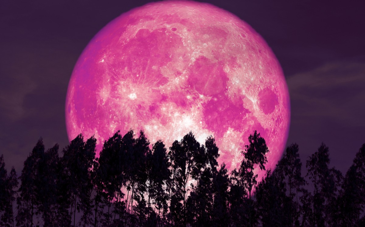 Superluna rosa es una de las más bellas del año (Shutterstock)