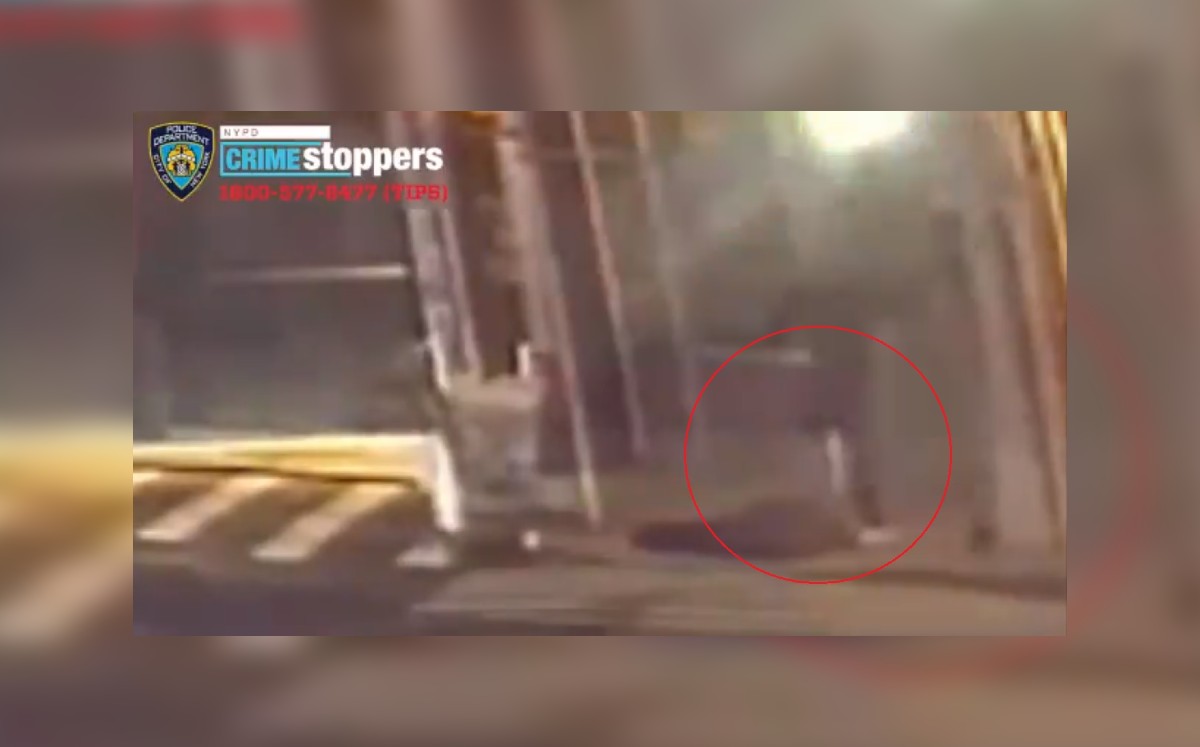 El hombre fue pateado en East Harlem mientras recogía latas. (Twitter: NYPD Hate Crimes)