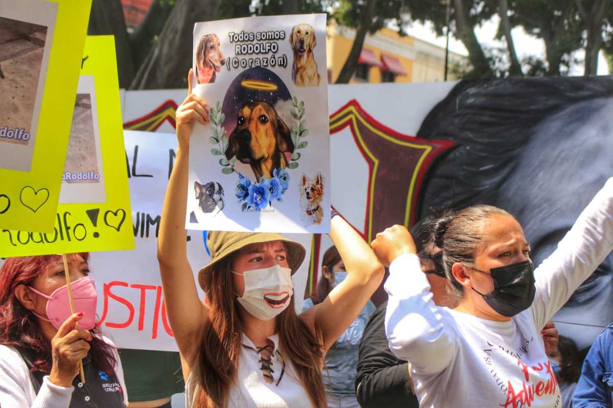 Marcha en contra del maltrato animal en Puebla | Ittay Aguilar