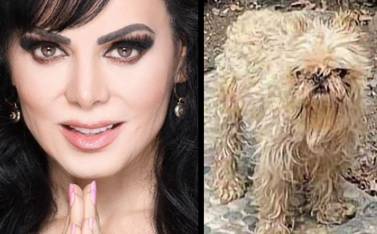 Acusan a Maribel Guardia por aparecer con perrito descuidado. (Especial)