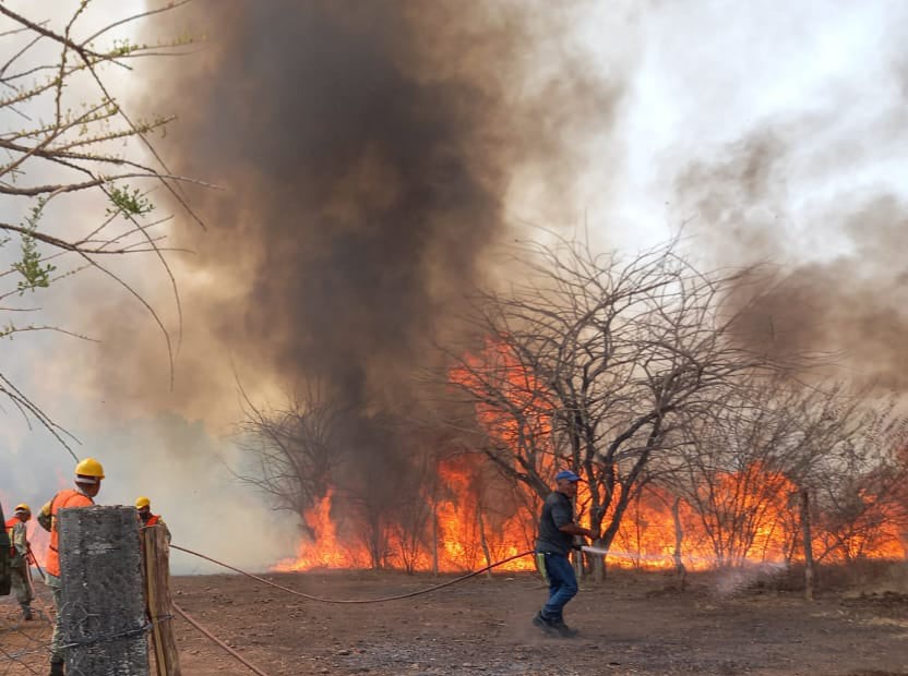 Pide a la población no realizar quema de basura ni de montes