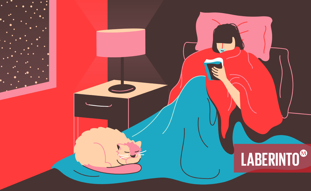 "Yo sólo quiero seguir una trama como el gato al hilo de estambre". (Ilustración: Supriya Bhonsle)