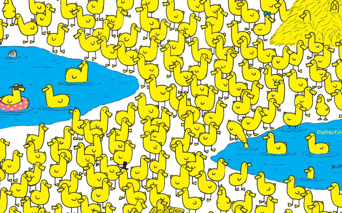 Encuentra al pollito entre los patos (Dudolf).