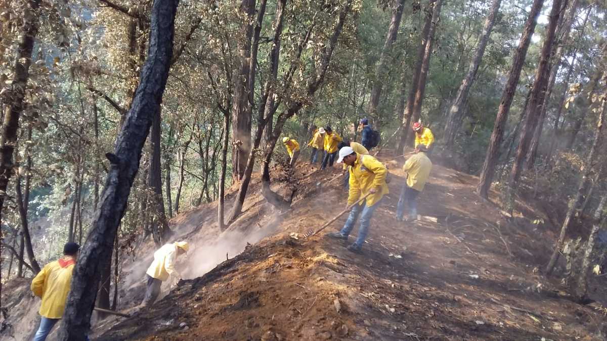 Incendio en Tetela de Ocampo. (Especial)