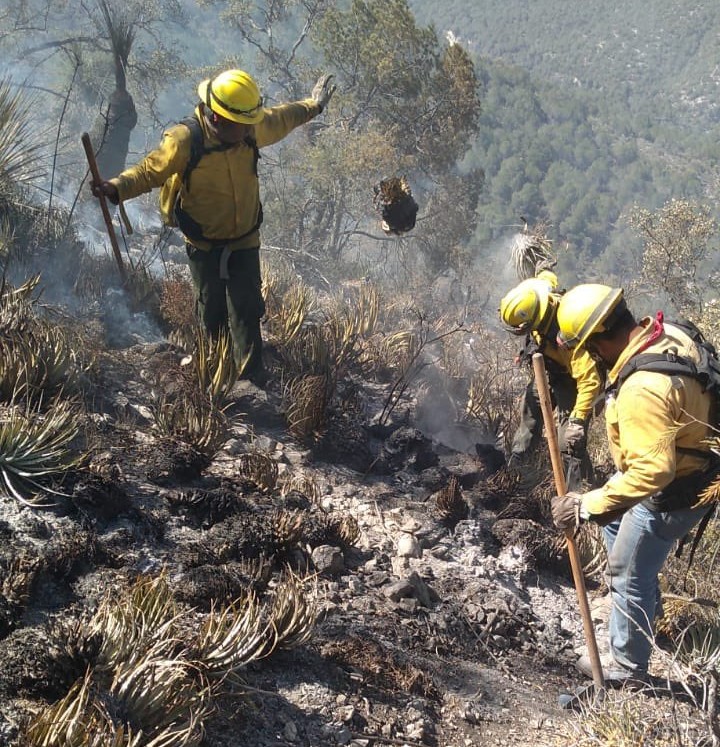 Incendio forestal en Miquihuana, Tamaulipas es sofocado. (Twitter)