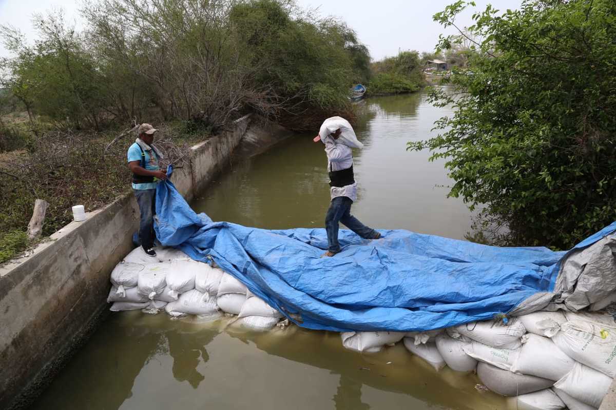 Comienza reparaciones del dique el camalote. (Yazmín Sánchez)