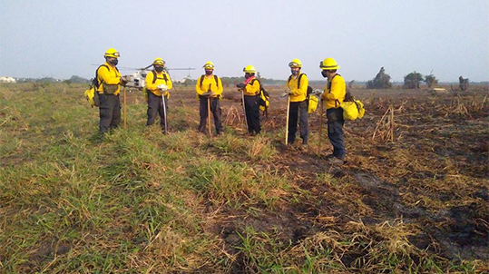 En Veracruz, inician labores para apagar incendio