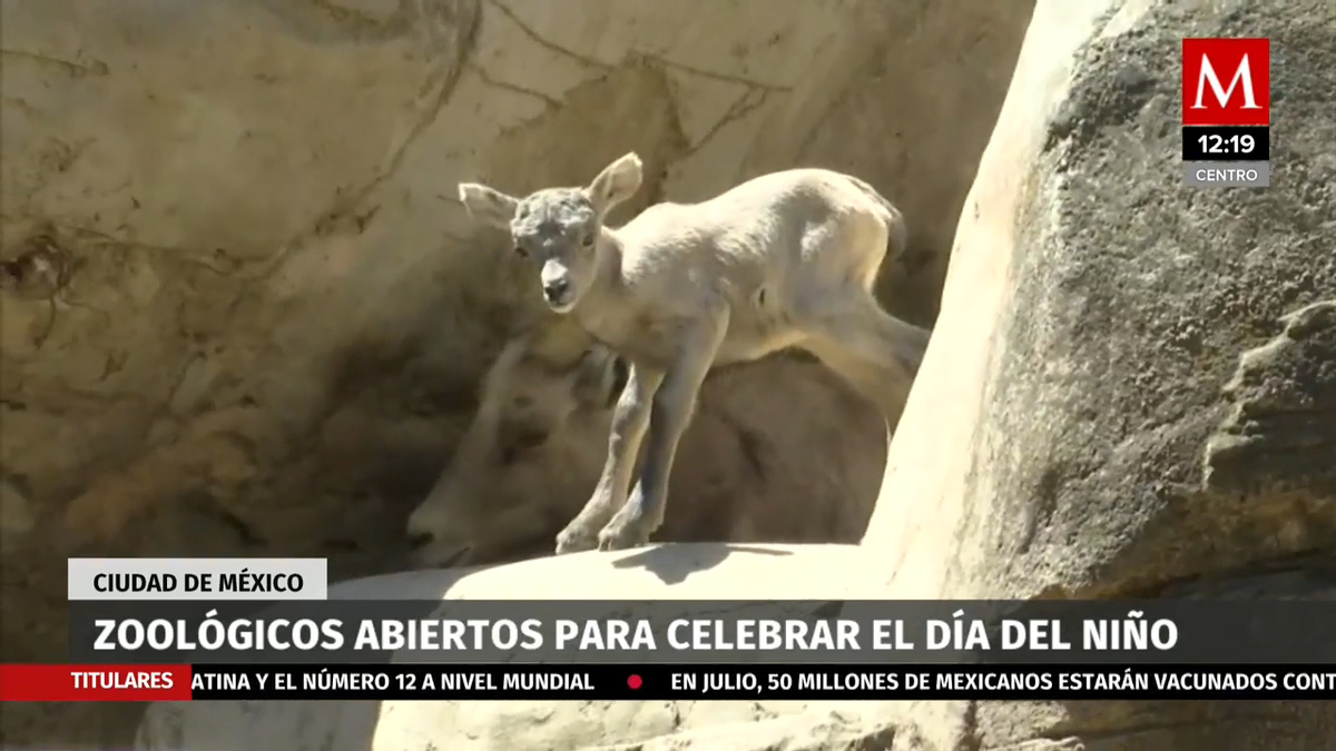Los Zoológicos de la CdMx estarán abiertos por el día del niño