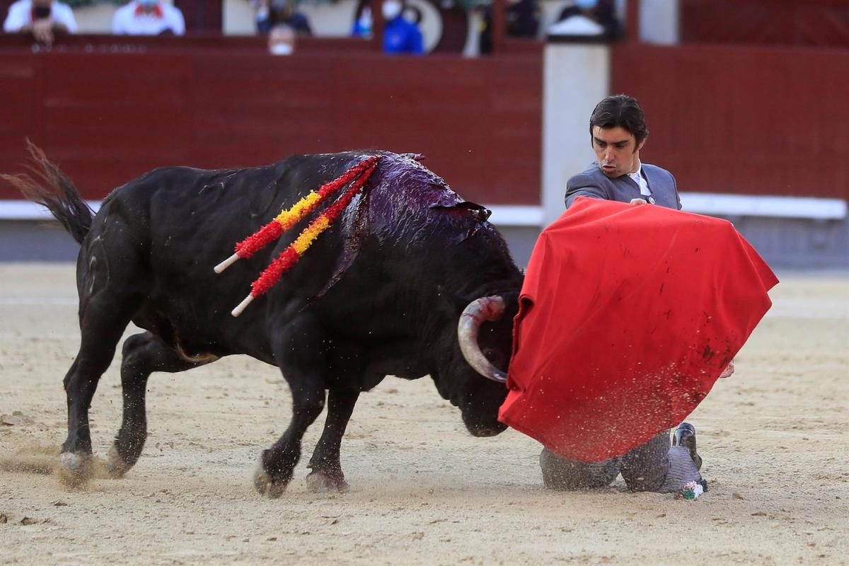 Animalistas critican la tauromaquia debido al maltrato animal al que son sufridos los toros. (EFE)