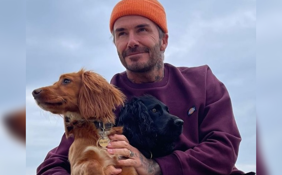 David Beckham, ex futbolista inglés (Instagram @davidbeckham)