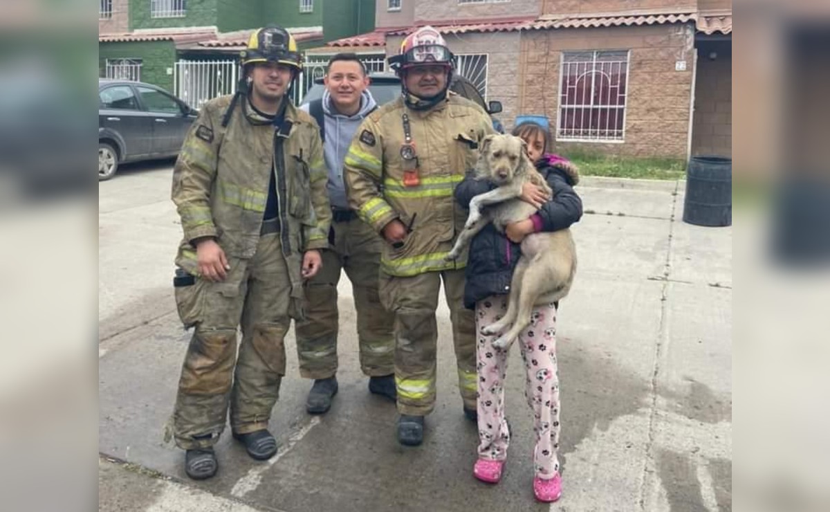 Tras el rescate, el perrito logró regresar con su familia. (Especial)