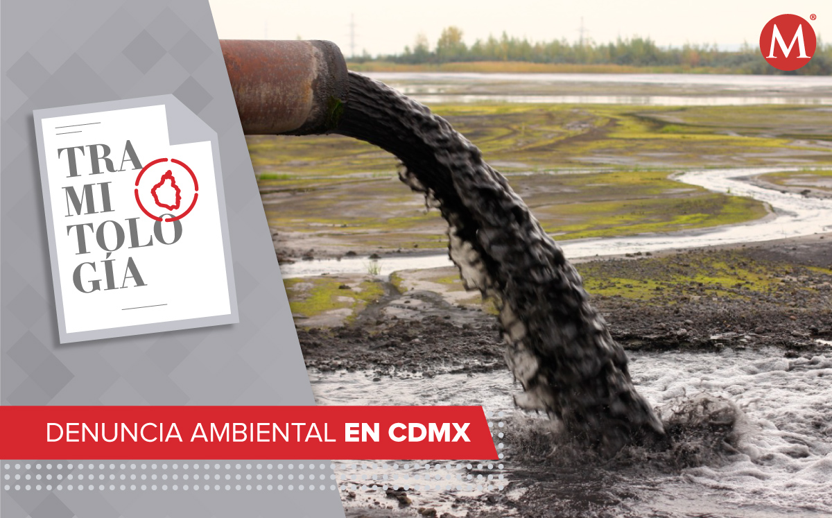 Denuncia ambiental en CdMx | Shutterstock/Especial