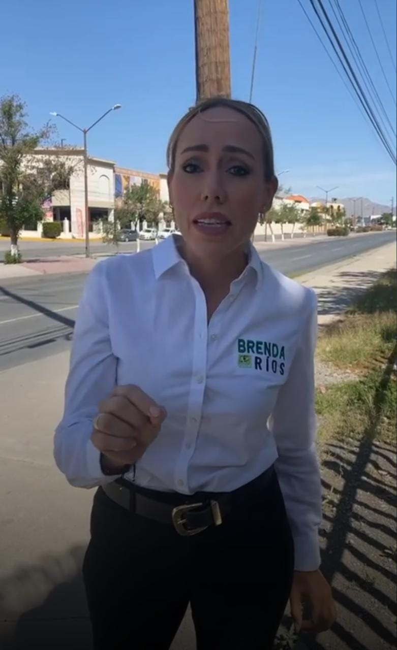 La candidata del Partido Verde Ecologista de México al gobierno de Chihuahua, Brenda Ríos Prieto. (Juan José García Amaro)