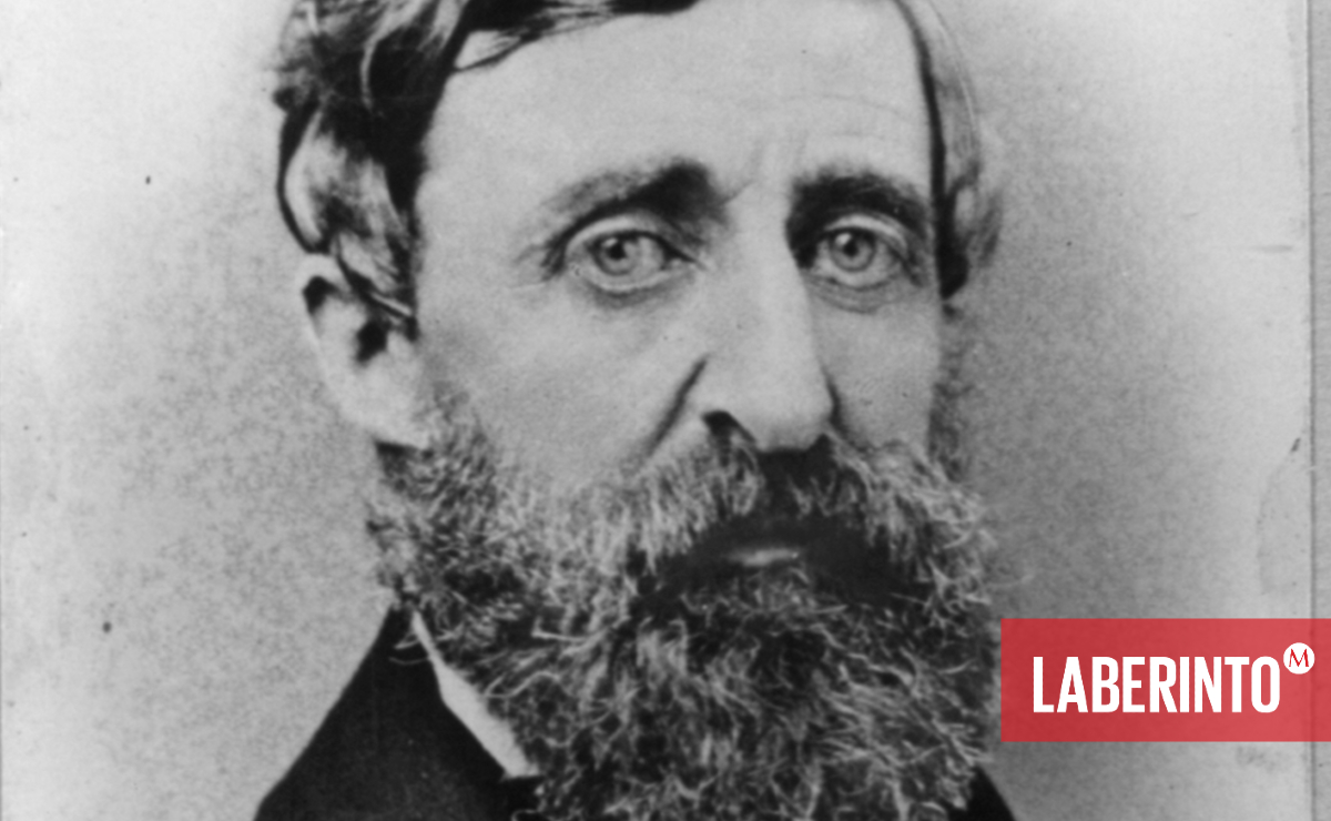 Henry David Thoreau, 1817-1862. (Library of Congress)