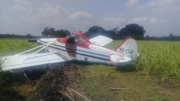 La avioneta cayó en los sembradíos.