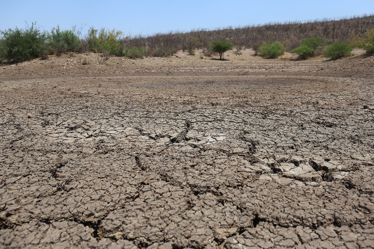 Debido a que son zonas desérticas es complicada la llegada de pipas de agua. (Rolando Riestra)
