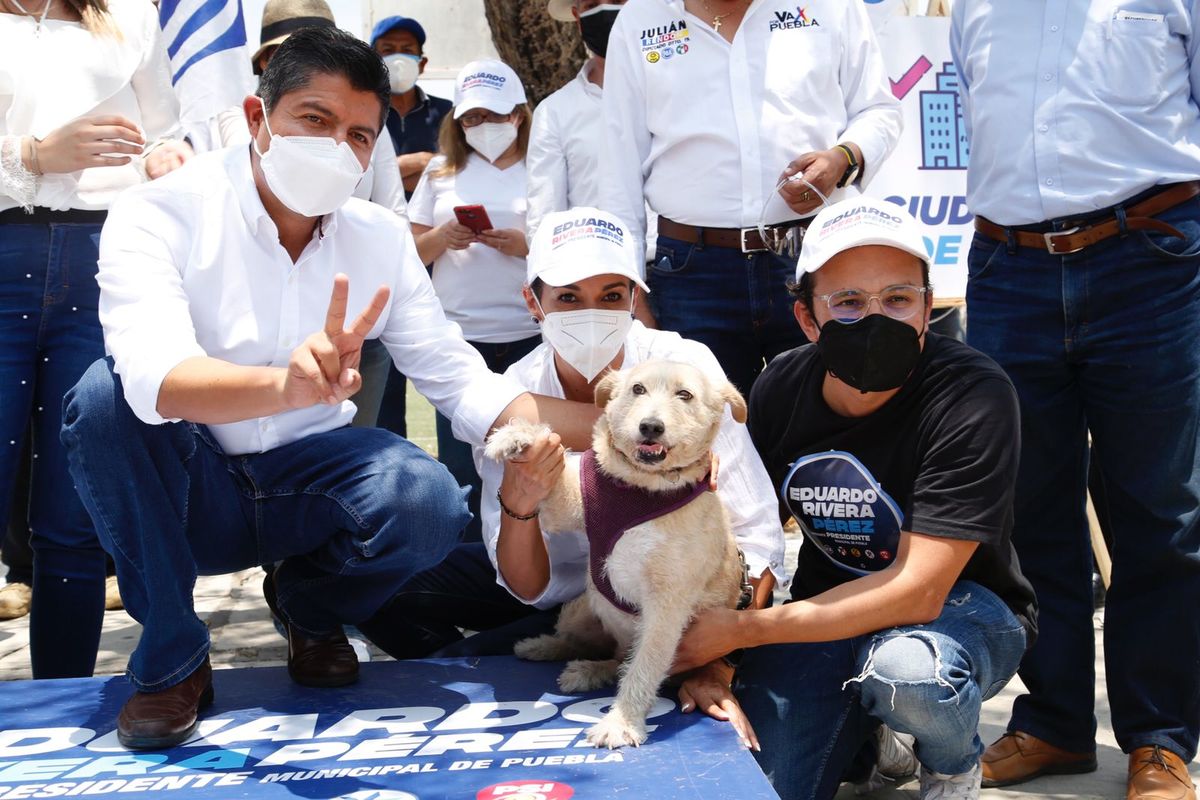 Eduardo Rivera implementará campaña de bienestar animal. (Especial)