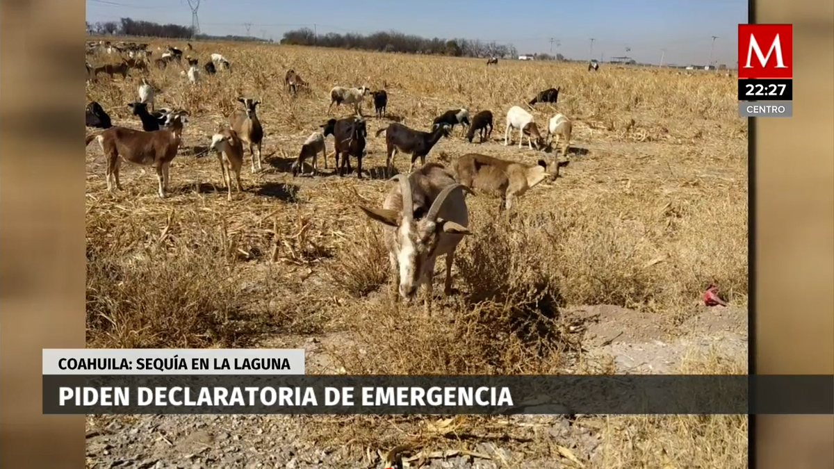 Durango solicitará declaratoria de emergencia por sequía extrema