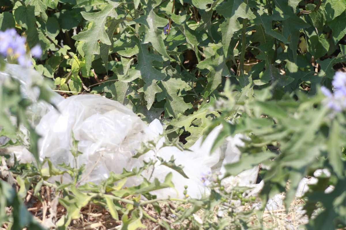 Encuentran el cadáver de una mujer en Tochtepec | Especial