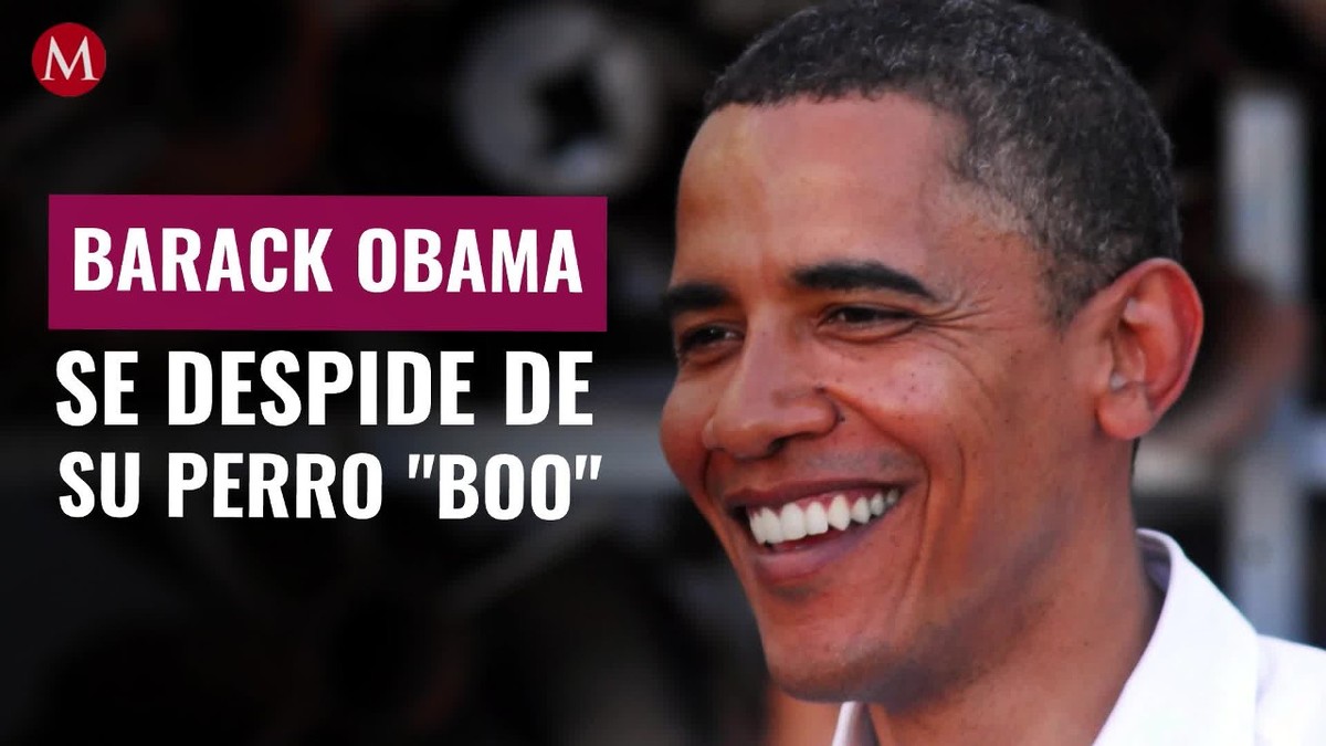 "Era lo que necesitábamos y más de lo que esperábamos": Barack Obama se despide de su perro 'Bo'
