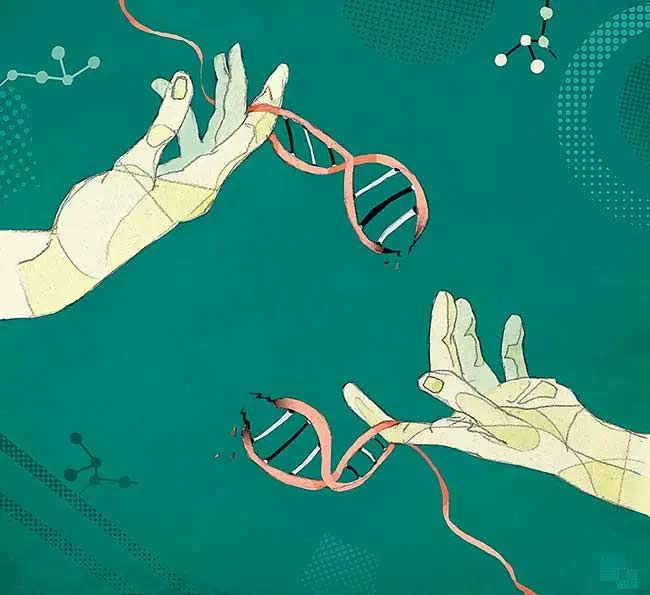 Los secretos del sistema genético (David e Izak Peón)