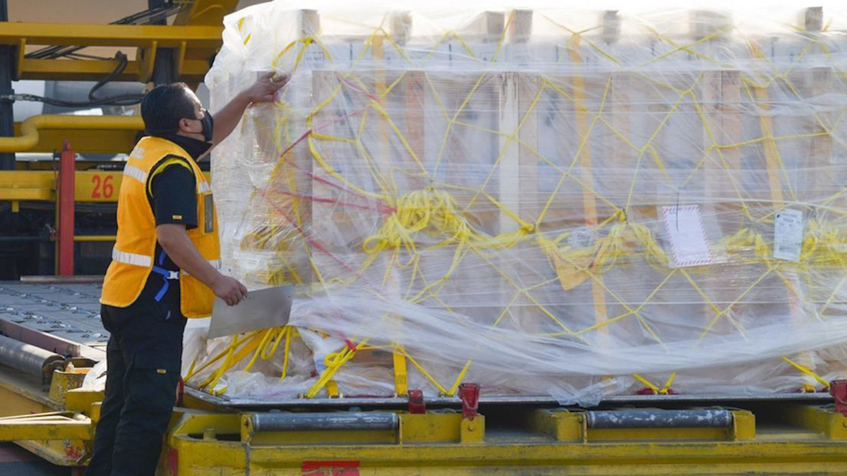 Llegan a México más de medio millón de vacunas anticovid de Pfizer