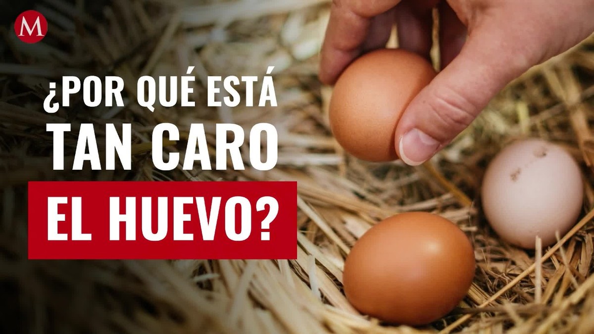 ¿Por qué está tan caro el huevo en México? Aquí te decimos la razón
