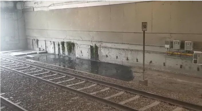 La estación Washington de la Línea 1 del Tren Ligero tiene señales de humedad. (Especial)