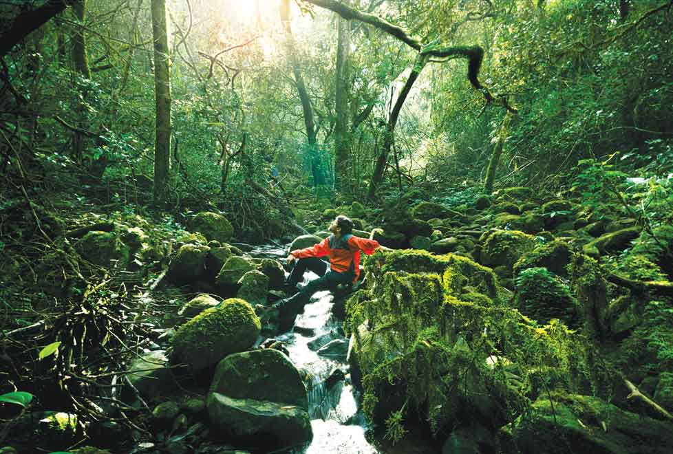 Natura trabaja de cerca con comunidades de la selva amazónica.