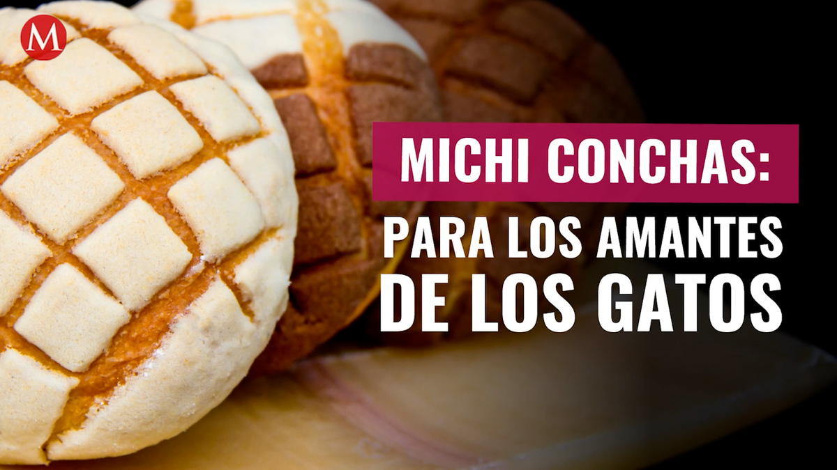 Michiconchas: el pan perfecto para los amantes de los gatos en CdMx