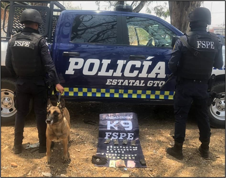Unidad Canina/Foto: Especial