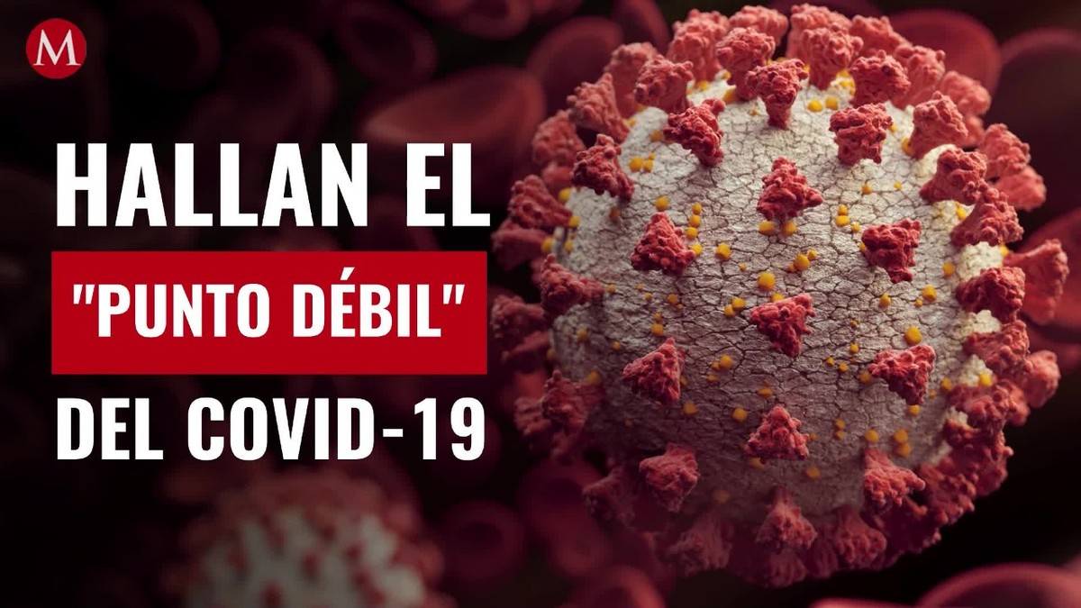 Científicos hallan el "punto débil" del covid-19 para no multiplicarse en el cuerpo humano