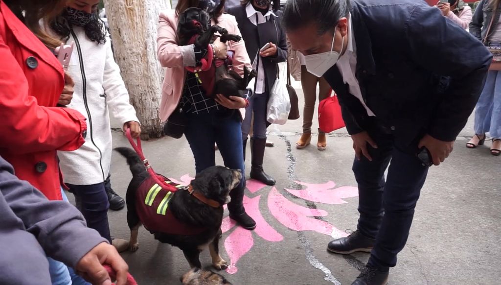"Sería el primero de ese tipo y va a estar enfocado a animales solamente en condiciones de necesidad". (Especial)