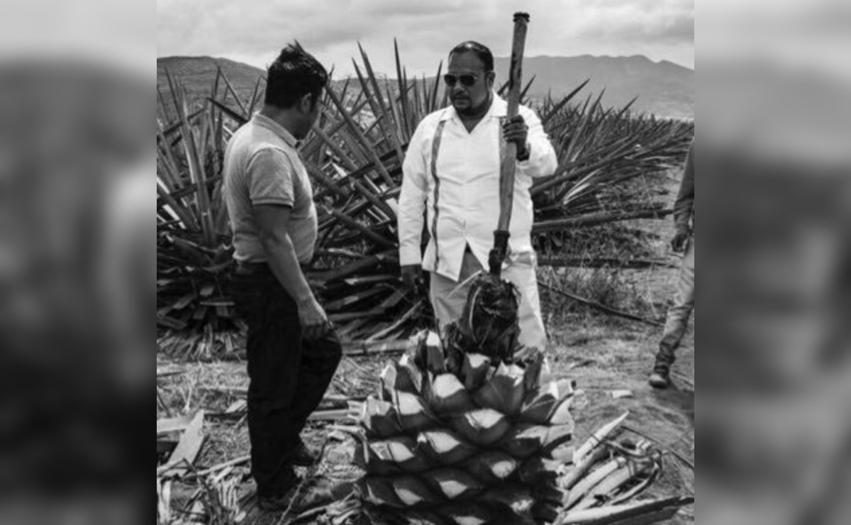 Hipócrates Nolasco fue destituido del Consejo del Mezcal tras nueve años en el cargo. (Twitter)