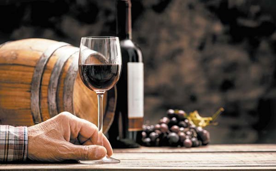 Se impartió este diplomado que permitirá enriquecer la cultura del consumo del vino. (Archivo)