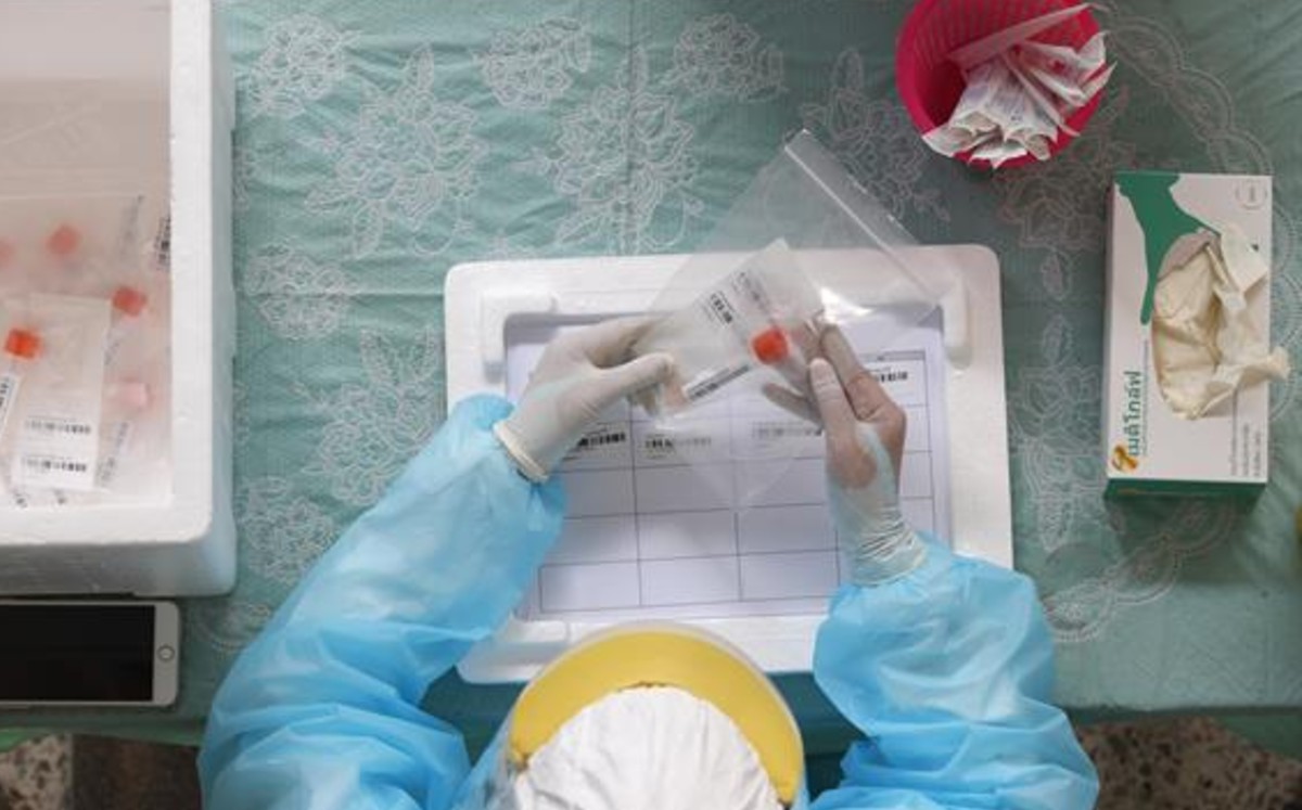 Desarrollan un nuevo test portátil de detección de covid-19 más rápido, barato y preciso. (EFE)
