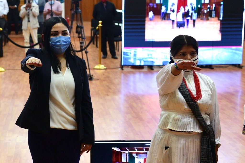 Erika Levy Hernández Arellano y a Alma Josefina Cruz como suplente de la diputada Imelda López Montiel.