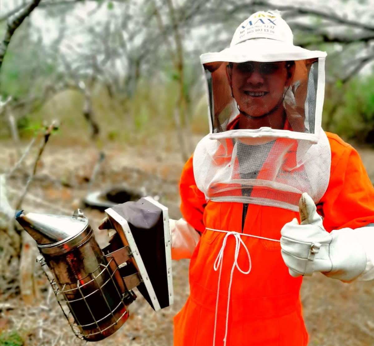Abejas en Tamaulipas se mantienen vivas por alimentación artificial. (Pablo Reyes)