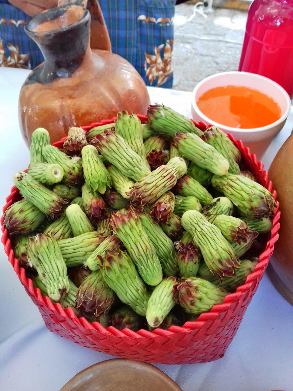 Tetechas; se producen en los cactus solo en esta temporada | Especial