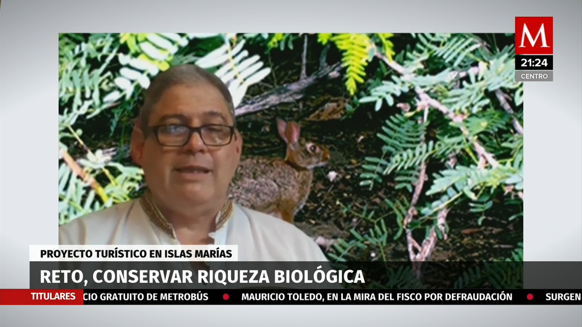 Entrevista a Juan Martínez Gómez. Proyecto en las Islas Marías